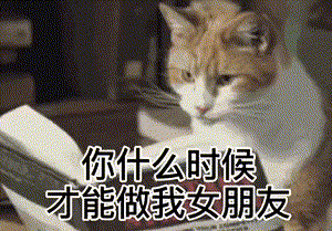 300_209gif 动态图 动图