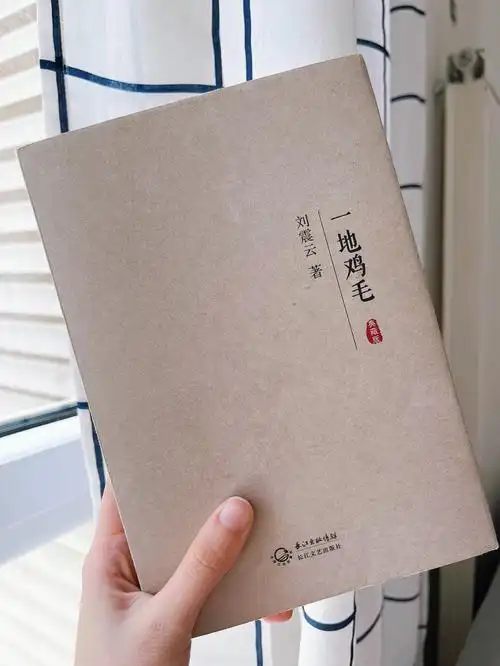 98《一地鸡毛》