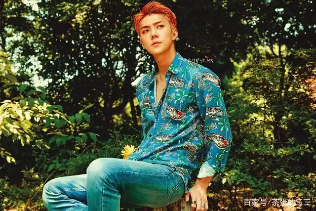 exo吴世勋kokobop图集:可爱的小橘