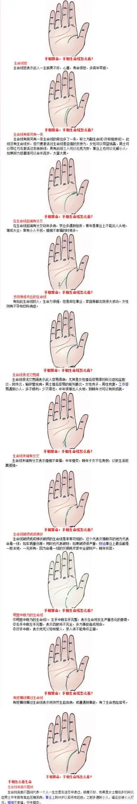 每个人的掌纹都有三大主线:感情线,智慧线和生命线啦.