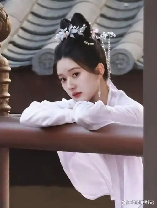 赵露思自出道以来,出演的电视剧口碑都还不错,可以说在流量小花中站稳