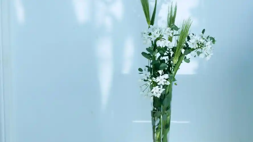 小清新家居静物简约风格桌面壁纸下载 第五辑