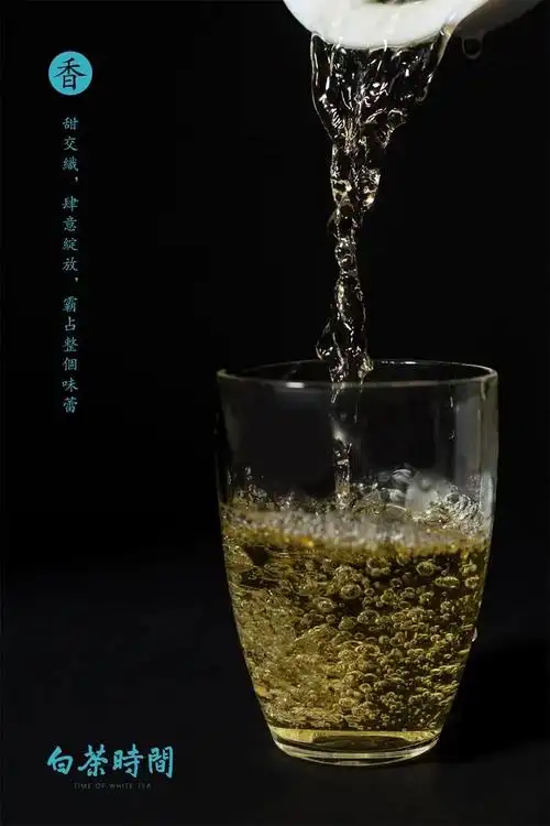 左手人生茶右手今朝酒把所有一言难尽一饮而尽