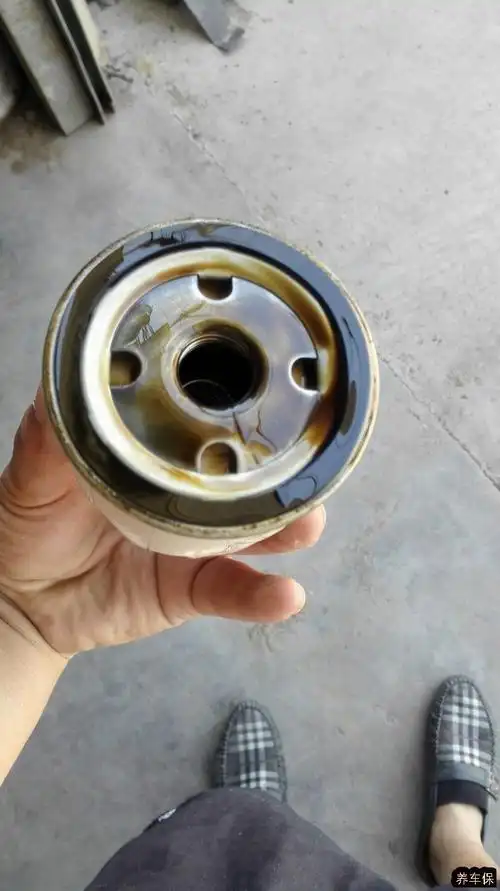 新蒙迪欧更换机油机滤过程记录