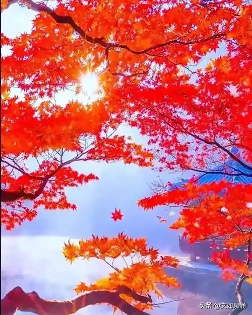 感慨2021年艰难句子