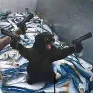 比较沙雕的基友头像【点击鼠标右键下载】