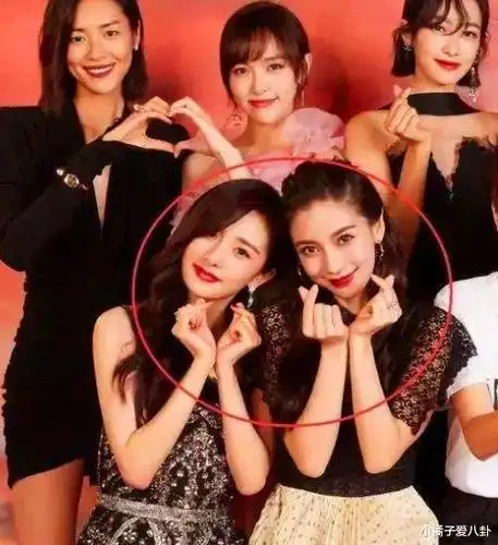 赵丽颖年收入,杨颖年收入,杨幂年收入,林志玲年收入,差距不是一般大!