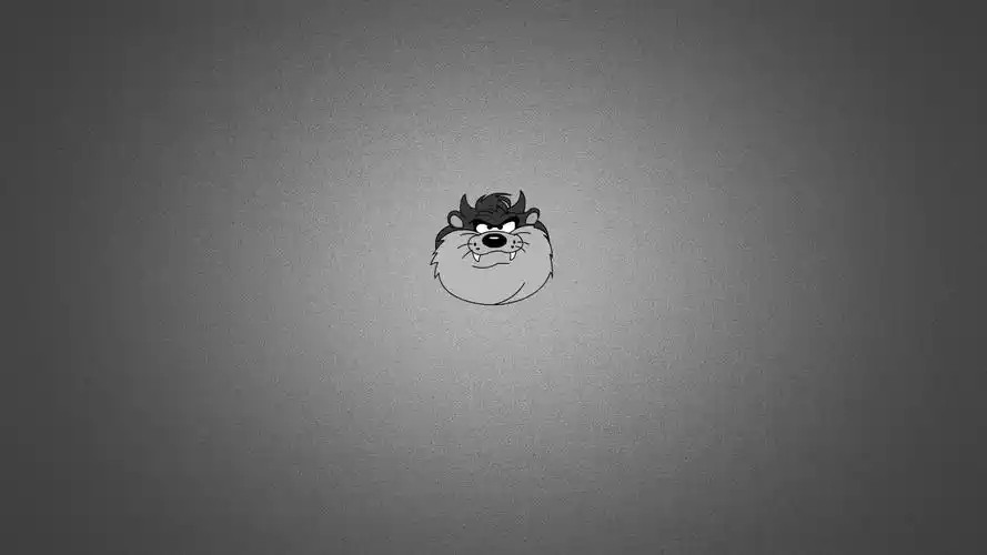 清新简约向高清宽屏桌面壁纸