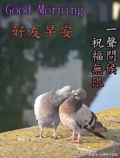 创意好看的亲人朋友早上好问候图片带字温馨