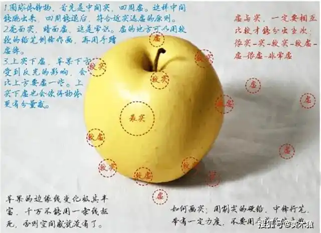 基础教学——水果结构_苹果_素描_色调