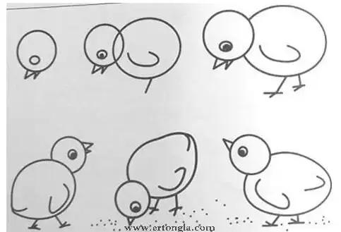 小鸡的简笔画图片 小鸡的画法步骤教程-www.qqscb.com