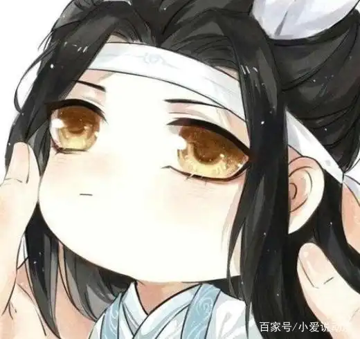 《魔道祖师》史上最全q版蓝忘机,图三超萌超可爱好想捏一捏!