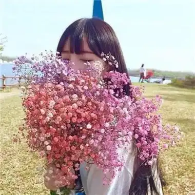 女生拿满天星头像高清 唯美好看的女生手捧满天星头像图片_女生头像