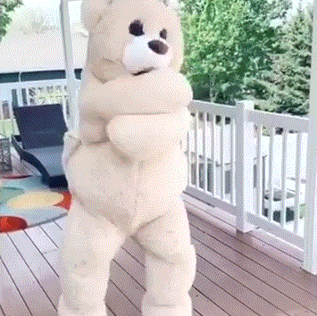 魔性跳舞小熊合集_表情