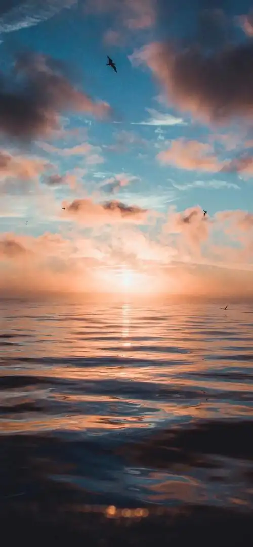 手机全屏壁纸 高清壁纸 情侣头像 微信头像 个性壁纸 苹果壁纸 精选