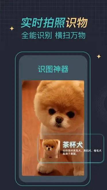识图神器苹果版