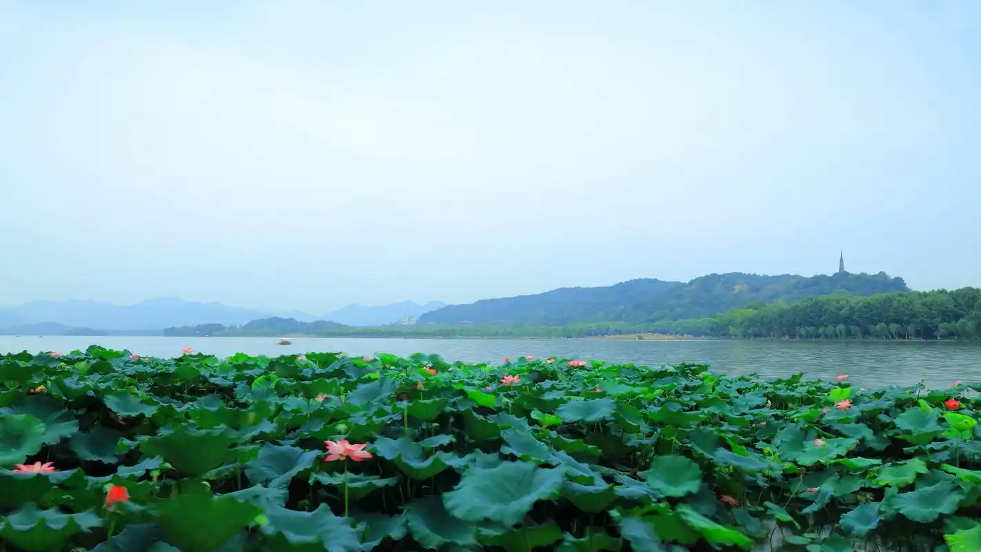 杭州西湖美景摄影高清宽屏桌面壁纸