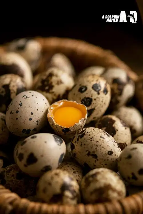 鹌鹑蛋 - 原创作品 - 站酷(zcool)