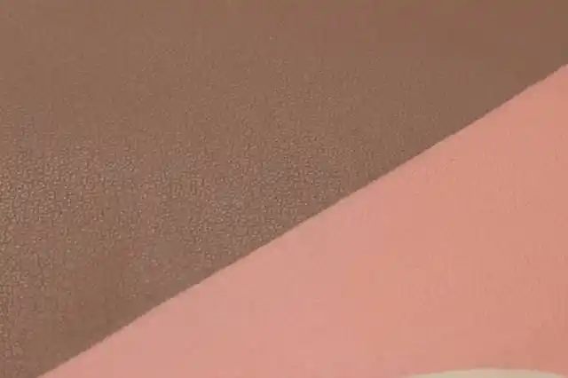 包的材质是光滑小羊皮,纹理很细腻,但是涂料并未影响到皮革本身的纹理