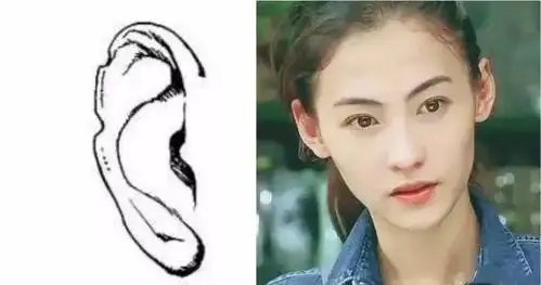 耳大有福8种耳朵看懂你的福气和爱情