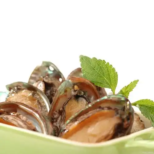 鲍鱼是一种珍贵的海产品,其肉质细嫩,味道鲜美,营养丰富,被誉为"海洋