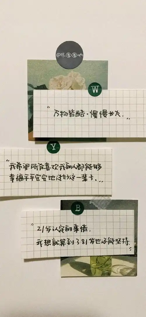 文字壁纸!拿图关注一下吧!