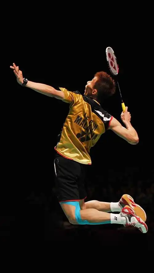 羽毛球健将李宗伟,高清图片,手机锁屏桌面-壁纸族