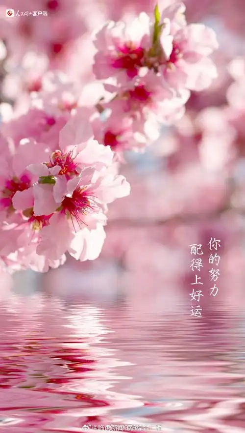 送你一组#早春加油壁纸#↓↓祝你生活甜蜜,逢考必过,offer到手.