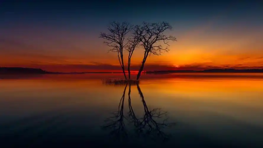 意境深远的夕阳风景动态壁纸- mac动态壁纸,高清风景壁纸,宽屏壁纸