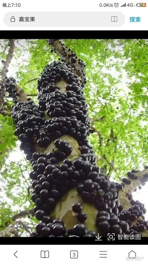 有哪些逼死密集恐惧症的图片或视频
