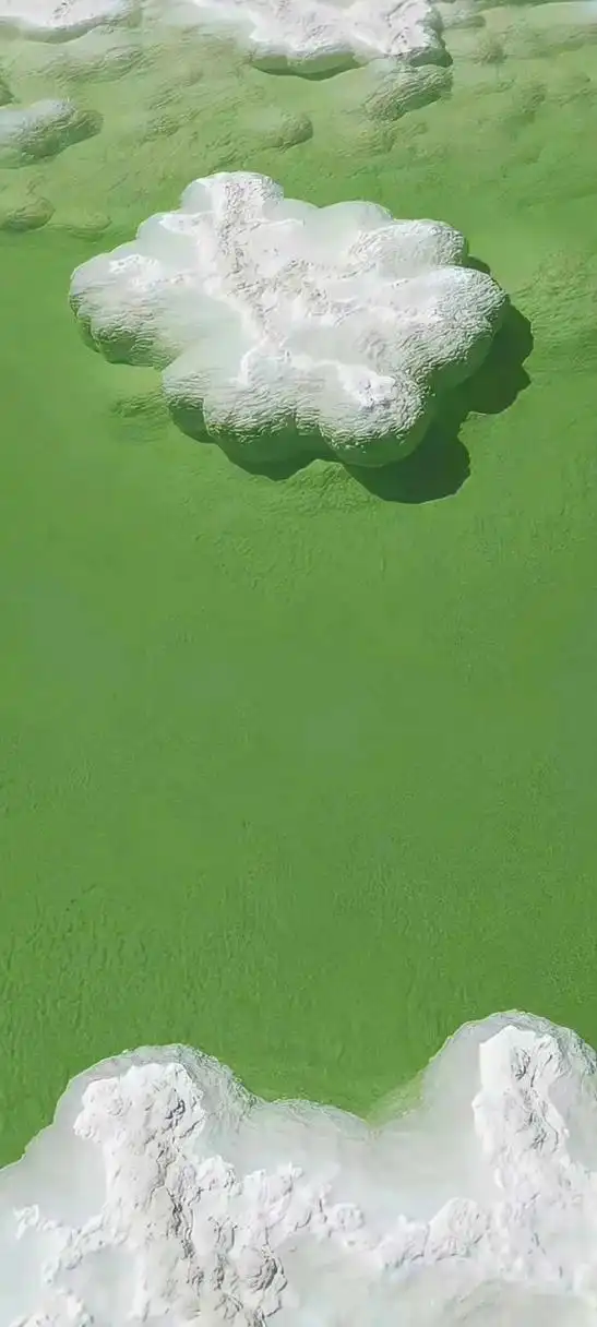 怎么会不喜欢綠色壁纸呢[打call] #壁纸# #手机壁纸# #绿色系治愈壁纸