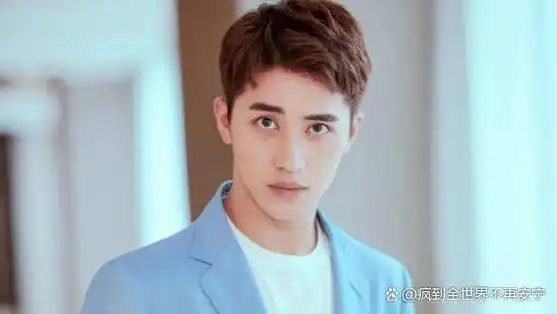 在给大家介绍许魏洲的作品时,不得不提到他参与配音的动画电影《海棠