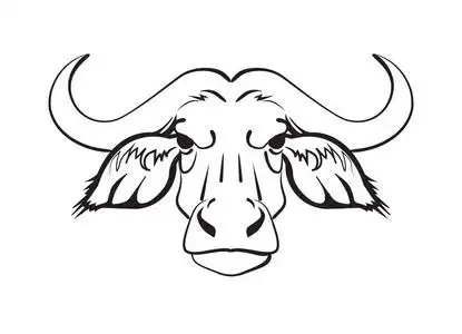 野牛徽标非洲野牛的头照片