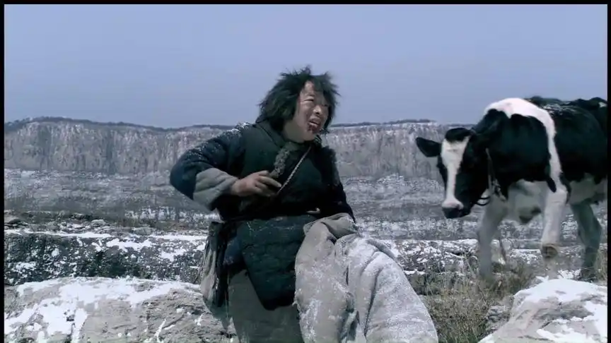 斗牛,黄渤与牛对话笑死了