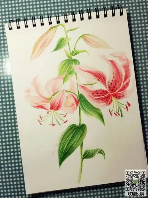你想用彩色铅笔画些什么简笔画