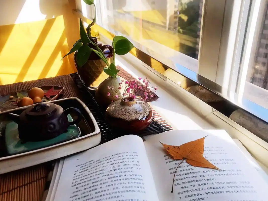 一壶茶,一本书,一缕阳光, 居家午后时光