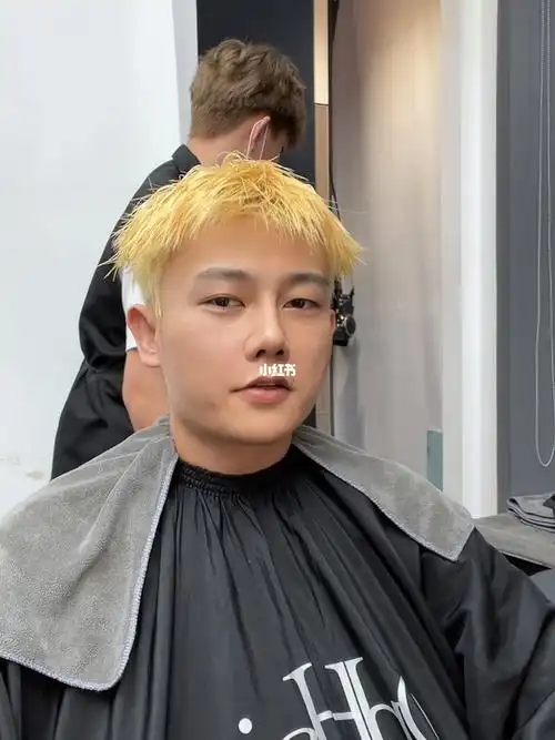 男士染发蓝黑色