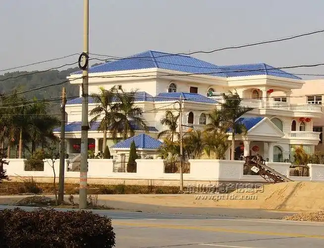 莆田乡下豪华皇宫式的别墅随发几小张