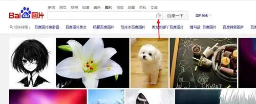 有什么以图搜图的软件么,最好是手机的,电脑的也行