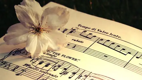 音乐旋律的听辨与训练