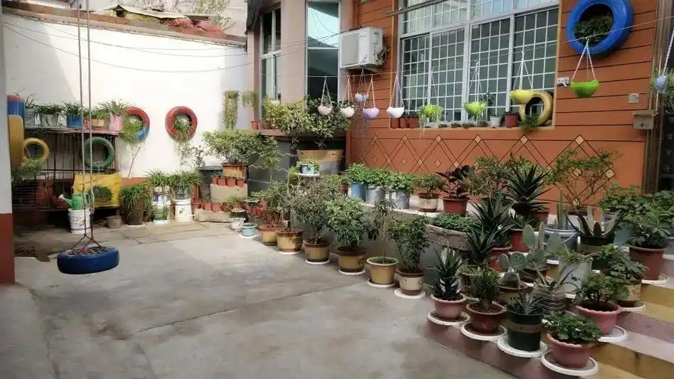 "院"生活更美好—埇桥区美丽庭院示范户典型展示(五)_澎湃号·政务