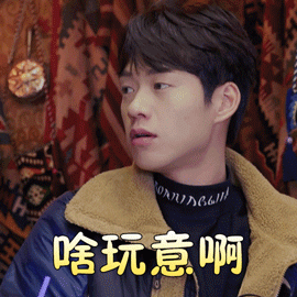 妻子的浪漫旅行魏大勋啥玩意啊好奇搞怪逗gif动图_动态图_表情包下载