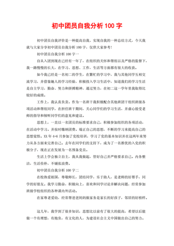 初中团员自我分析100字doc2页