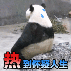熊猫背影流汗热到怀疑人生gif动图_动态图_表情包下载_soogif