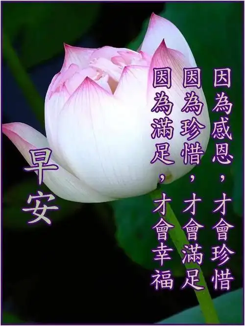 知己是完美的深交;缘分是长久的相连,你我是真诚的友谊,在温馨的早晨