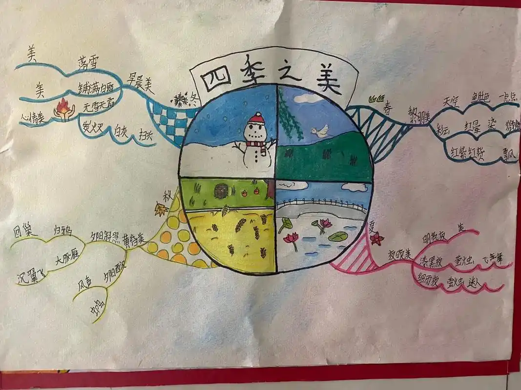 五年级思维导图展