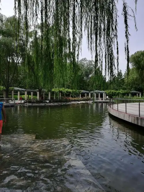 赞阳光星期八公园