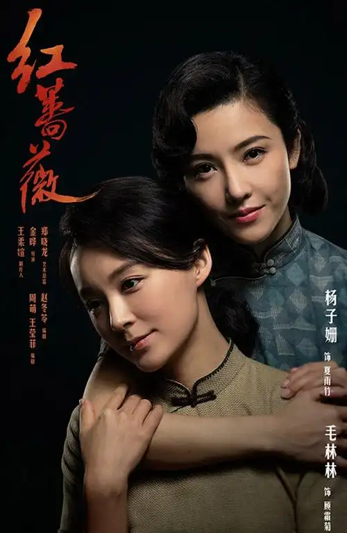 《红蔷薇》最新人物海报高清图片[3/4]_电视剧_美桌网