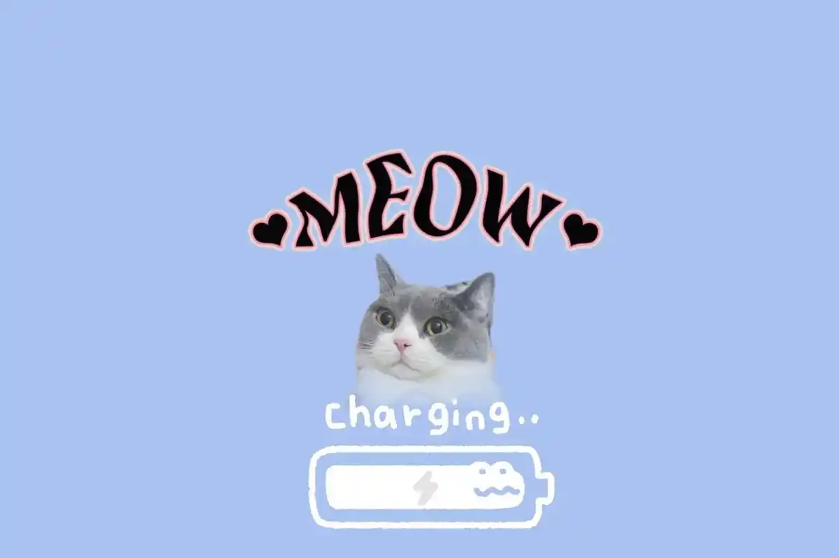 萌宠 #壁纸 #锁屏壁纸 #谁还没个小可爱 迪仔版自制壁纸 - 抖音