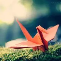 2 一生一世的爱情千纸鹤个性qq头像图片,每只千纸鹤承载一点祝愿